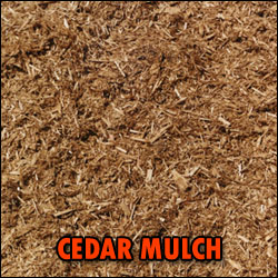 CEDAR Mulch - Per Cubic Yard | Kirk Allen Landscape Supply (New Jersey)