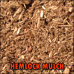 HEMLOCK Mulch – Bulk Delivery per Cubic Yard | Kirk Allen Landscape Supply – New Jersey