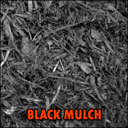 BLACK DYED MULCH – Premium Quality for Landscaping – per Cu. Yard | Kirk Allen Landscape Supply, NJ